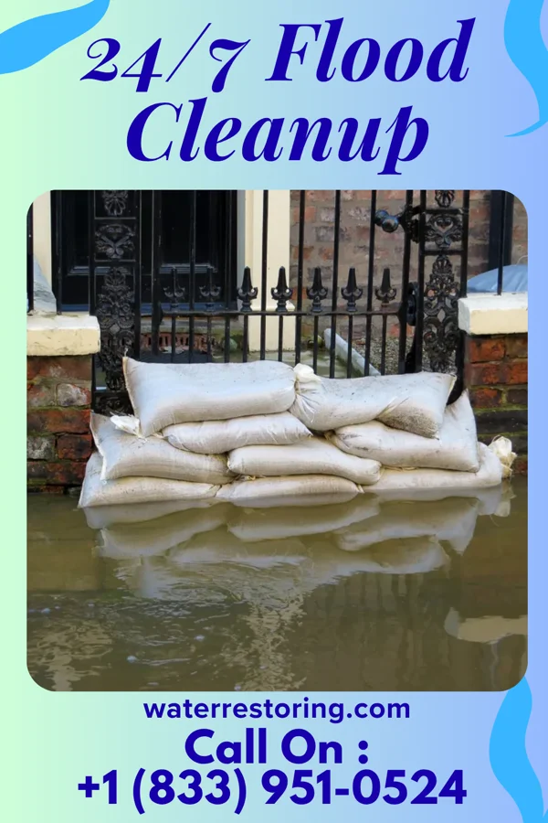 24/7 Flood Cleanup in Port Gibson, MS