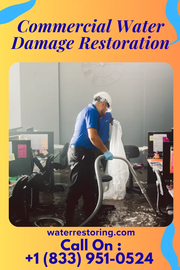 Commercial Water Damage Restoration in Port Gibson, MS