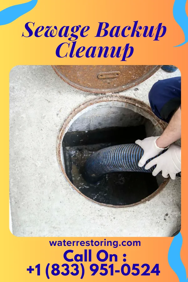 Sewage Backup Cleanup in Port Gibson, MS