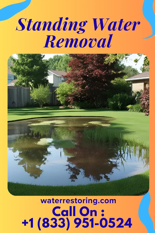 Standing Water Removal in Port Gibson, MS